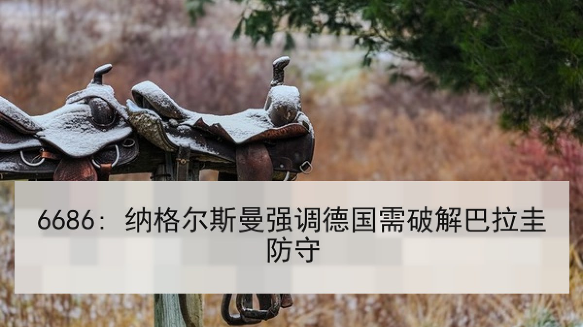 6686: 纳格尔斯曼强调德国需破解巴拉圭防守