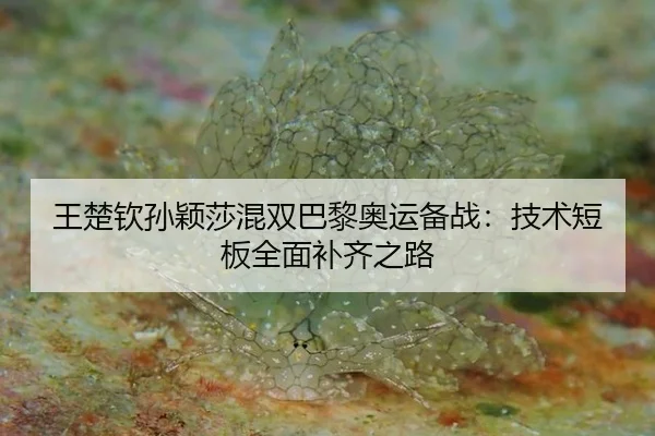wang-chu-qin-sun-ying-sha-hun-shuang-ba-li-ao-yun-bei-zhan-ji-shu-duan-ban-quan-mian-bu-qi-zhi-lu-2-421.jpg